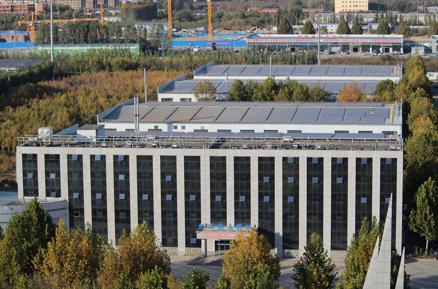 New Sports Treadmill