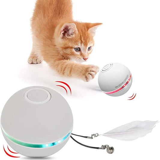 Colourful Electric Cat Toy