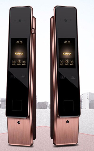 Smart Home Iris Recognition Door Lock