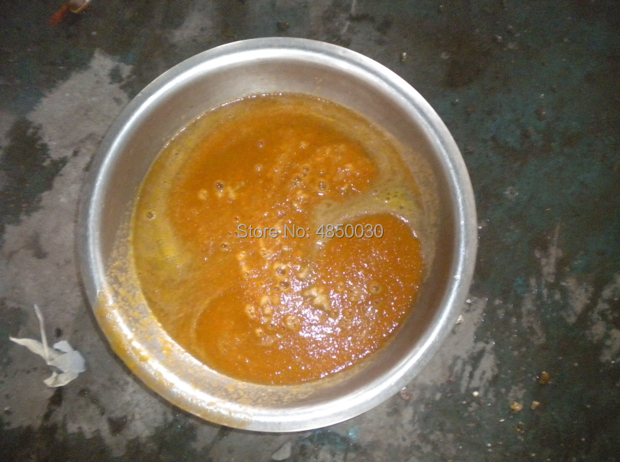 New Juice Pulping Machine